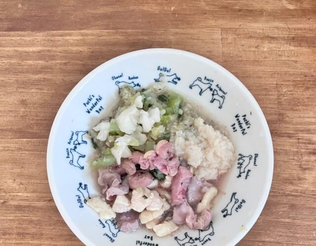 手作り犬猫ごはん講座申込みフォーム