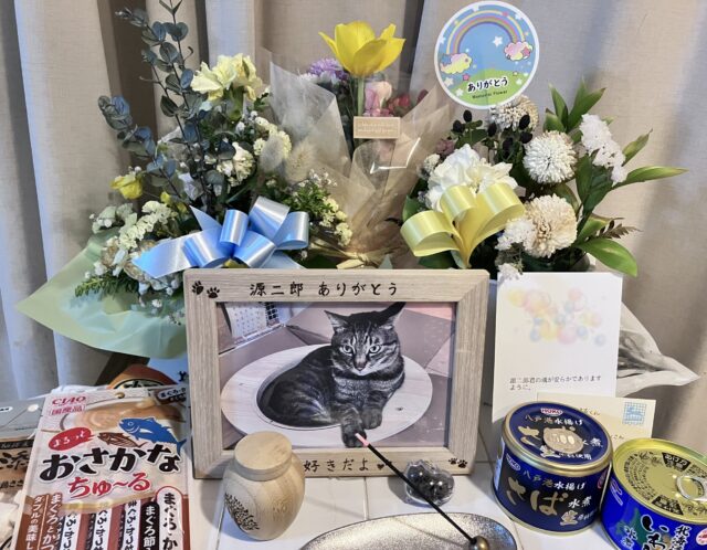 老い・病気・死期を受け入れる幸せ